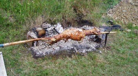 Bojna